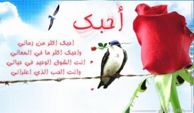 %D8%B5%D9%88%D8%B1-%D8%AD%D8%A8-%D9%88%D8%B1%D9%88%D9%85%D8%A7%D9%86%D8%B3%D9%8A%D9%87-2014.jpg