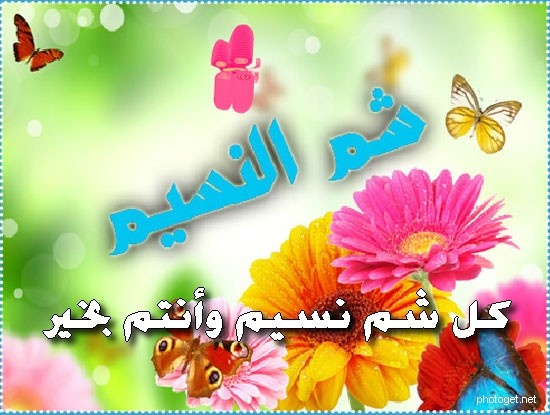 شم النسيم 2015