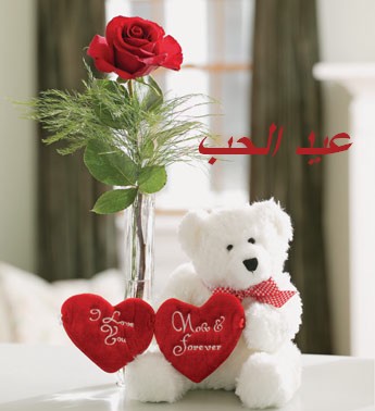 صور عيد الحب 2015