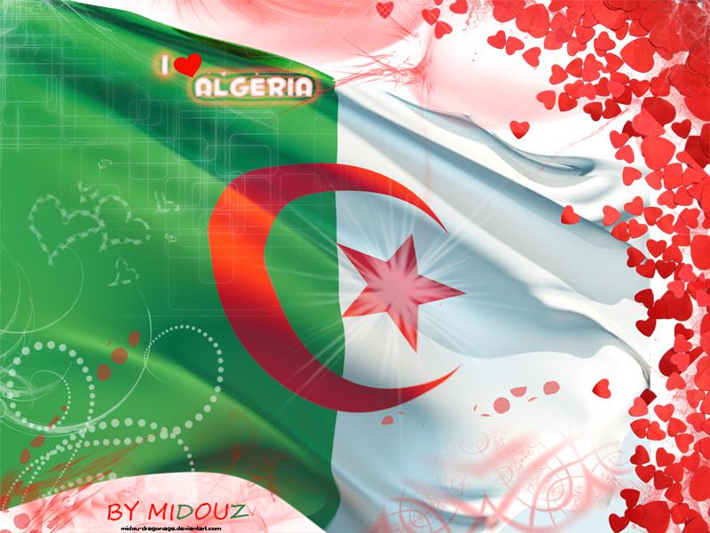 بلادي الجزائر