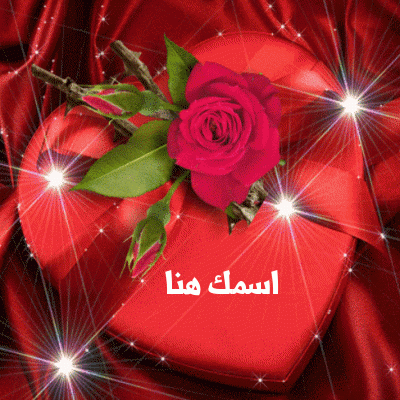 اجمل هدية
