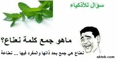 جمع كلمة نعناع