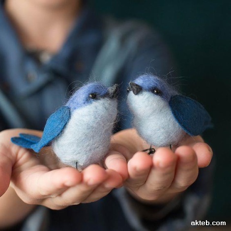 عصافير الحب