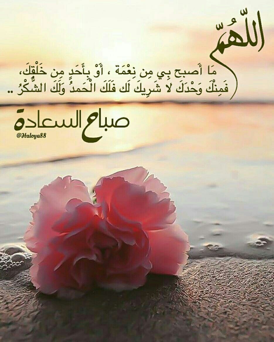 صورة رسائل حب صباح الخير أكتب اسمك على الصور