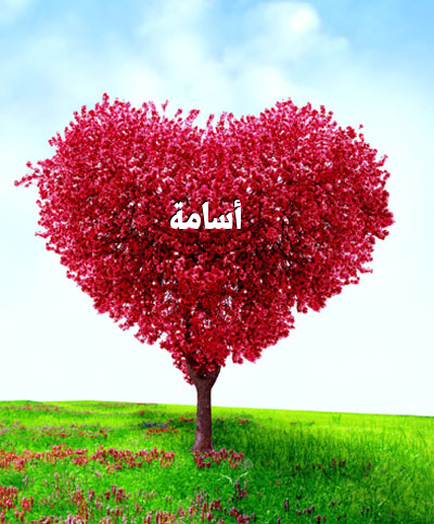 صور اسم أسامة اجمل صور لاسم أسامة صور حب ورومانسية أكتب اسمك على الصور