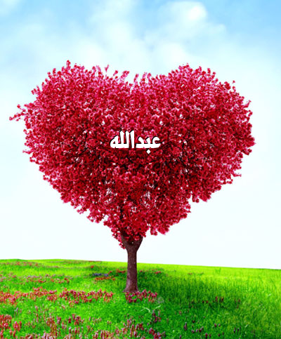 صور اسم عبدالله اجمل صور لاسم عبدالله صور حب ورومانسية أكتب اسمك على الصور