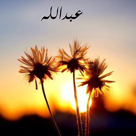 صور اسم عبدالله صور رومانسية صور حب أكتب اسمك على الصور