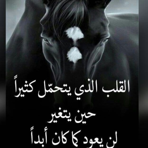 اقوال وحكم قصيرة صور حكم قصيرة عن الحياة أكتب اسمك على الصور