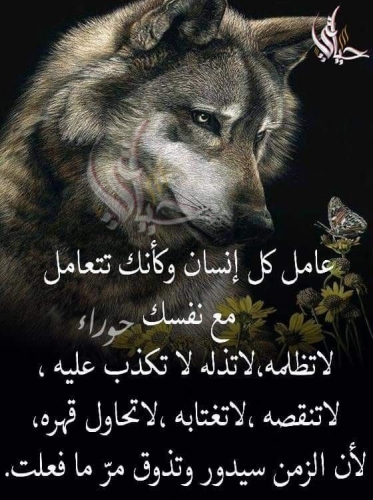 صور مكتوب عليها أشعار جميلة 2015 ابيات شعر جديدة مصورة 2015 اشعار روعه مكتوبة 2015 Historical Figures Historical Photo