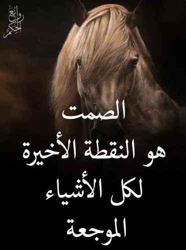 صور صور امثلة أكتب اسمك على الصور